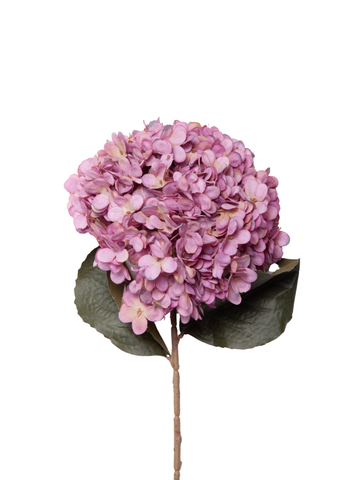Antique Mauve Hydrangea - 60cm Pack of 1