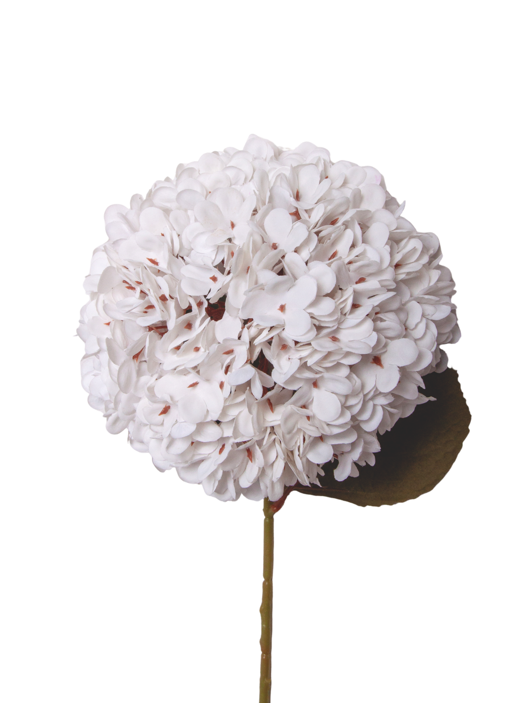 White Hydrangea - 60cm Pack of 1