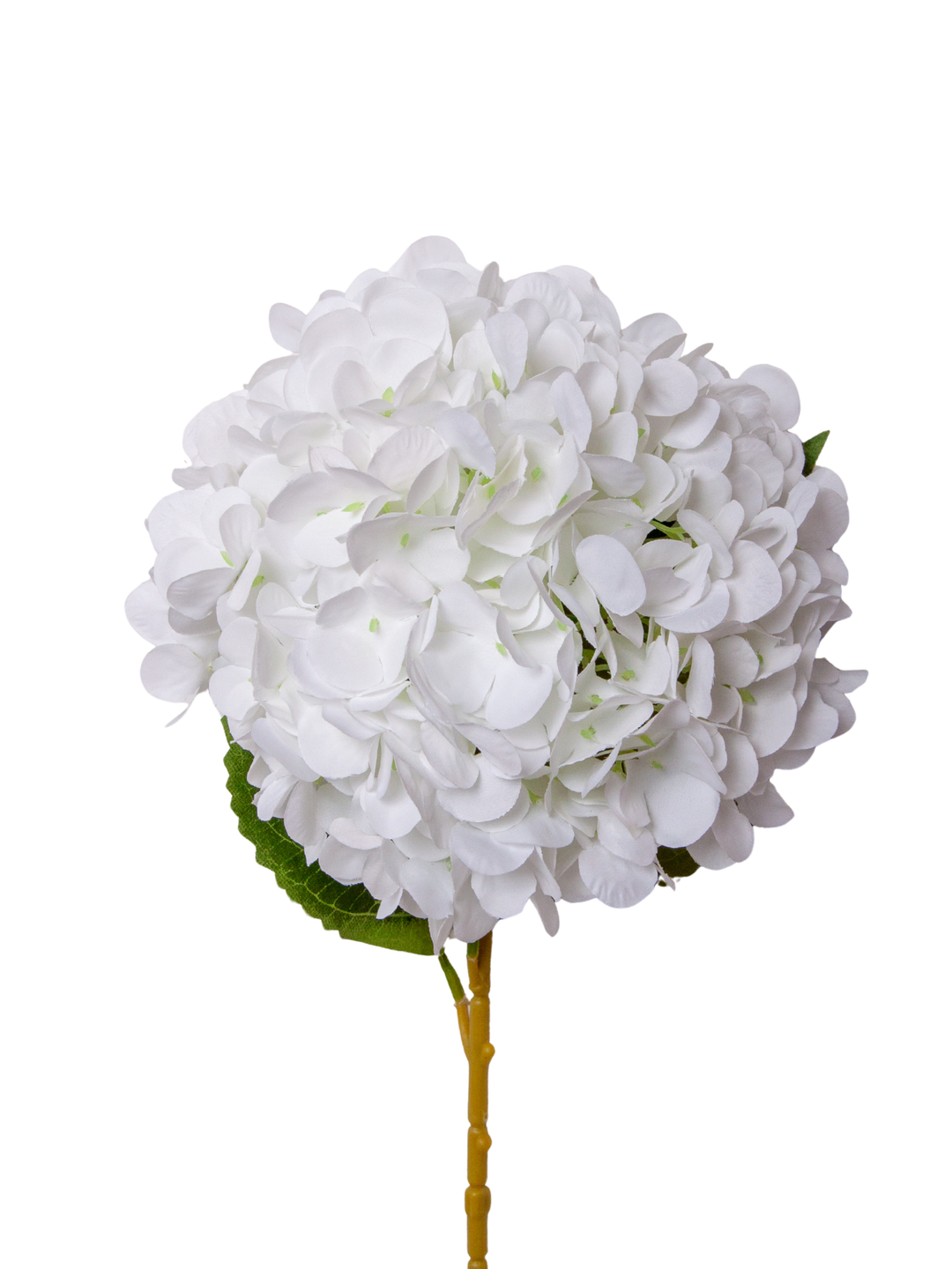 White Hydrangea - 69cm Pack of 1