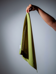 Wasabi Napkin Pack of 1