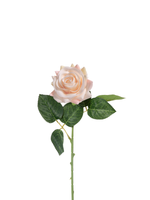 Champagne Garden Rose - 43cm
