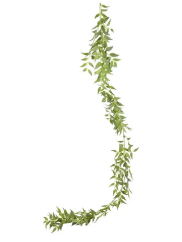 Italian Ruscus Garland Pack of 1