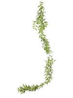 Italian Ruscus Garland