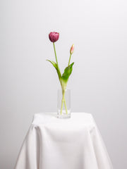 Burgundy Tulip Bud Vase - Medium