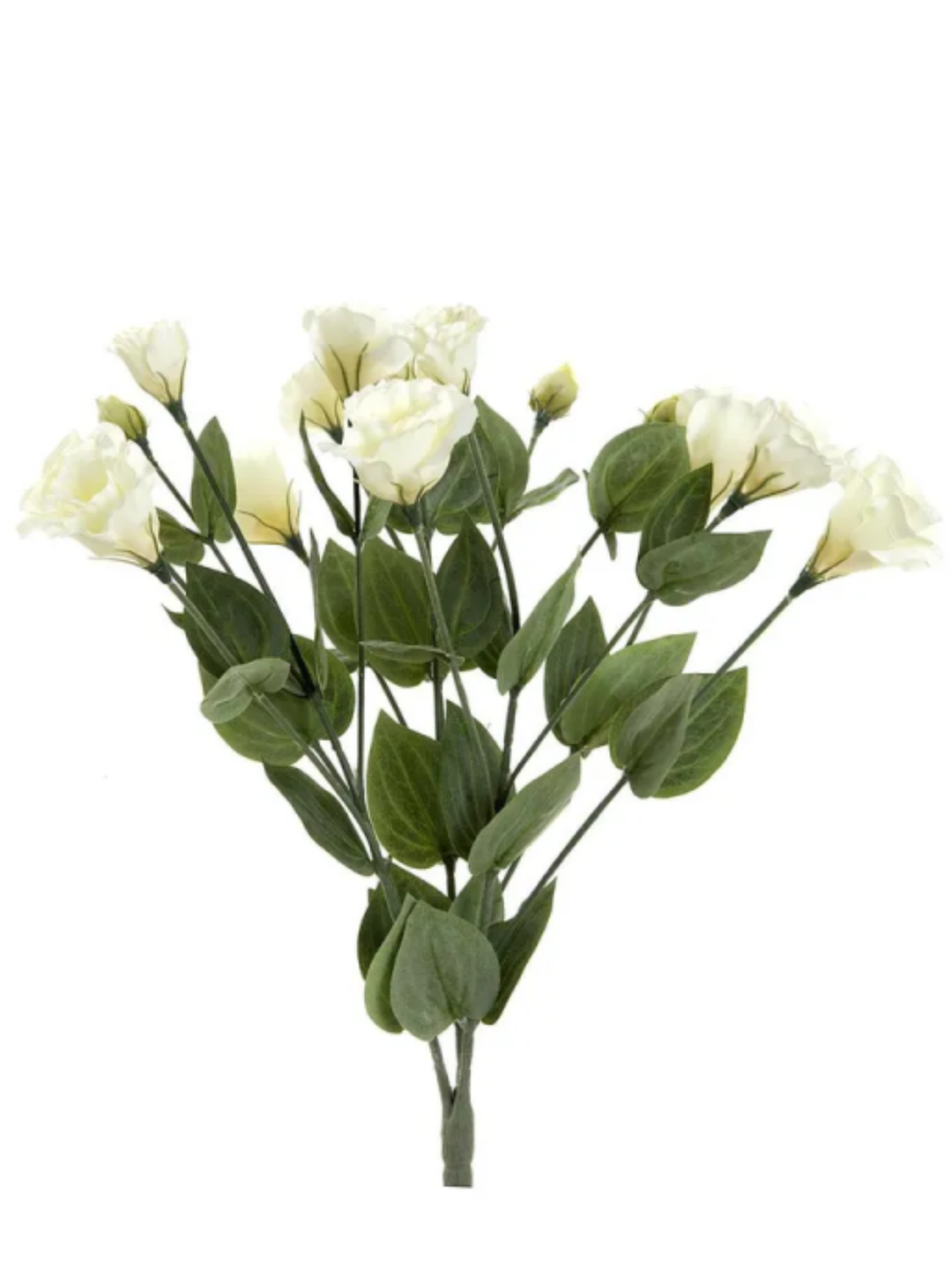 Lisianthus Bush 49cm Cream Pack of 1