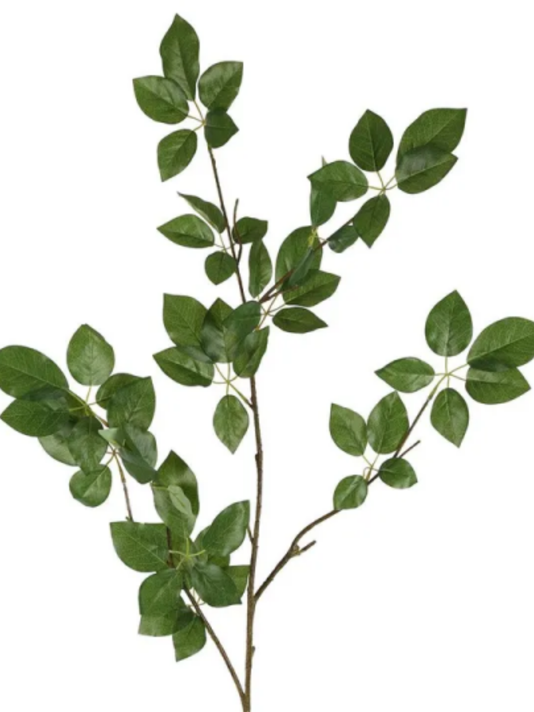 Scheffelera Leaf Spray (127cm H) Pack of 1