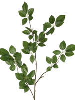 Scheffelera Leaf Spray