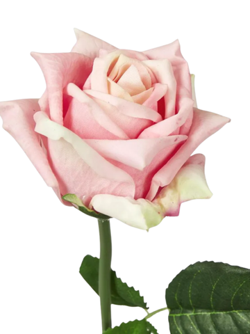 Real Touch Rose Light Pink 46cm Pack of 1