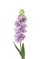 Lilac Snapdragons - 51cm