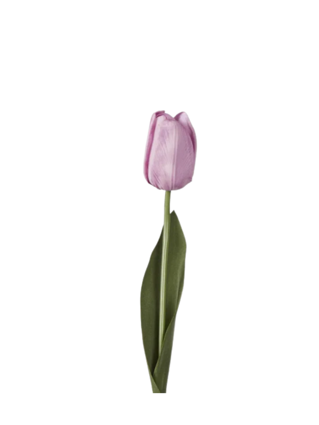 Soft Touch Tulip 45cm Pack of 1