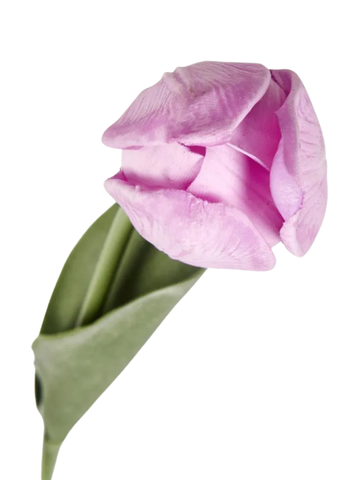 Soft Touch Tulip 45cm Pack of 1