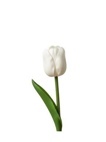Soft Touch Tulip 45cm Pack of 1
