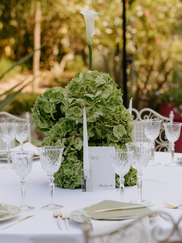 White 25cm Taper Candles with Small Glass Holders - Set of 12 Pack of 12