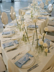 Sky Napkins