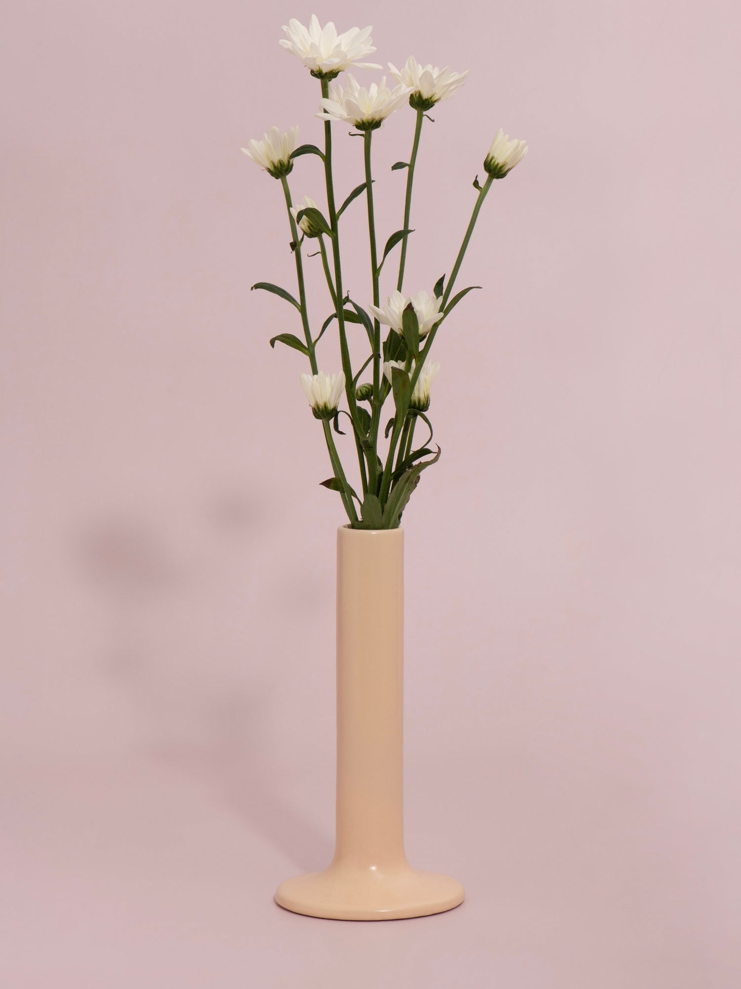 Macaron Carmela Ceramic Bud Vase Pack of 1