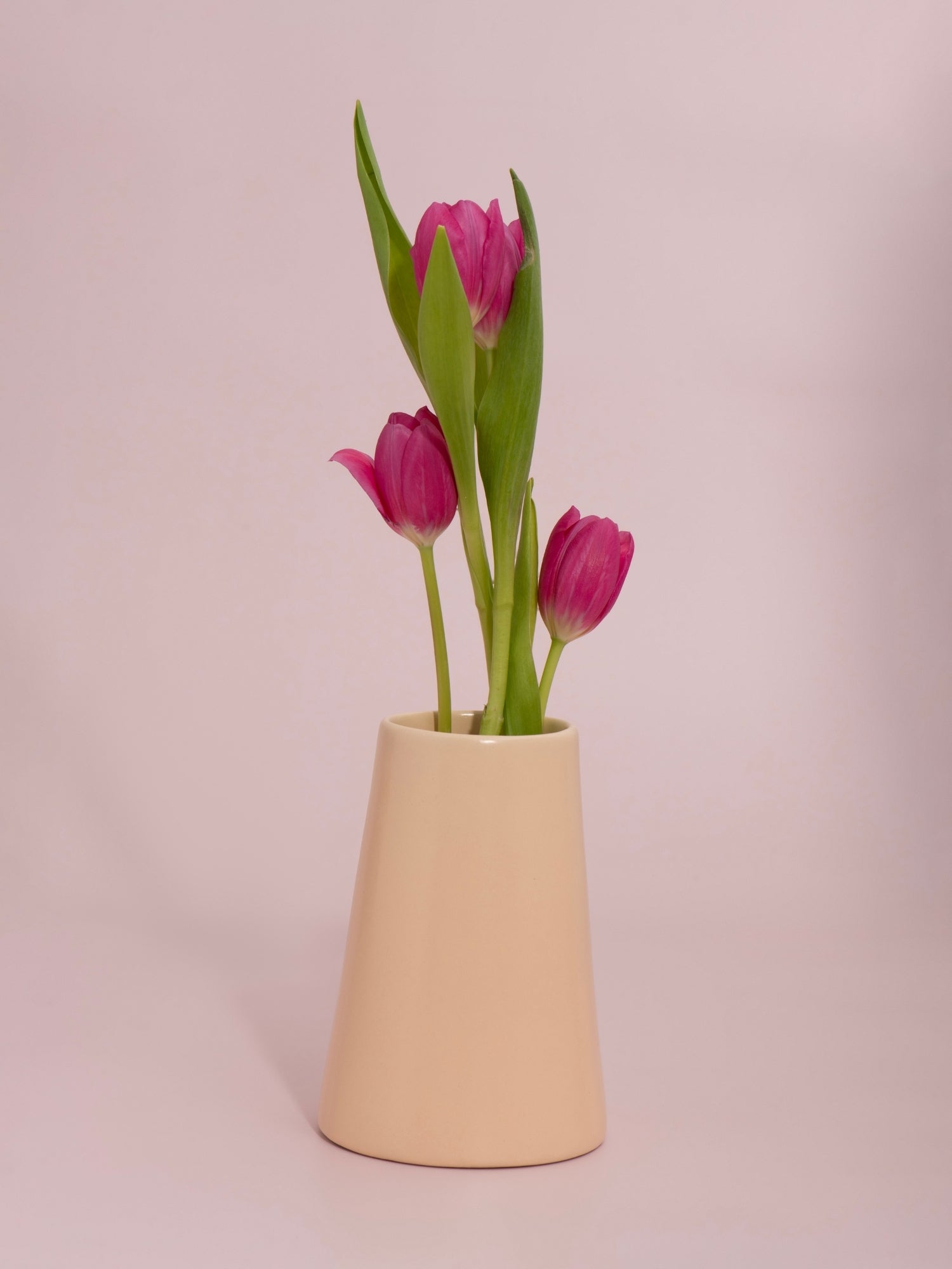 Macaron Bryony Ceramic Vase - Medium Pack of 1