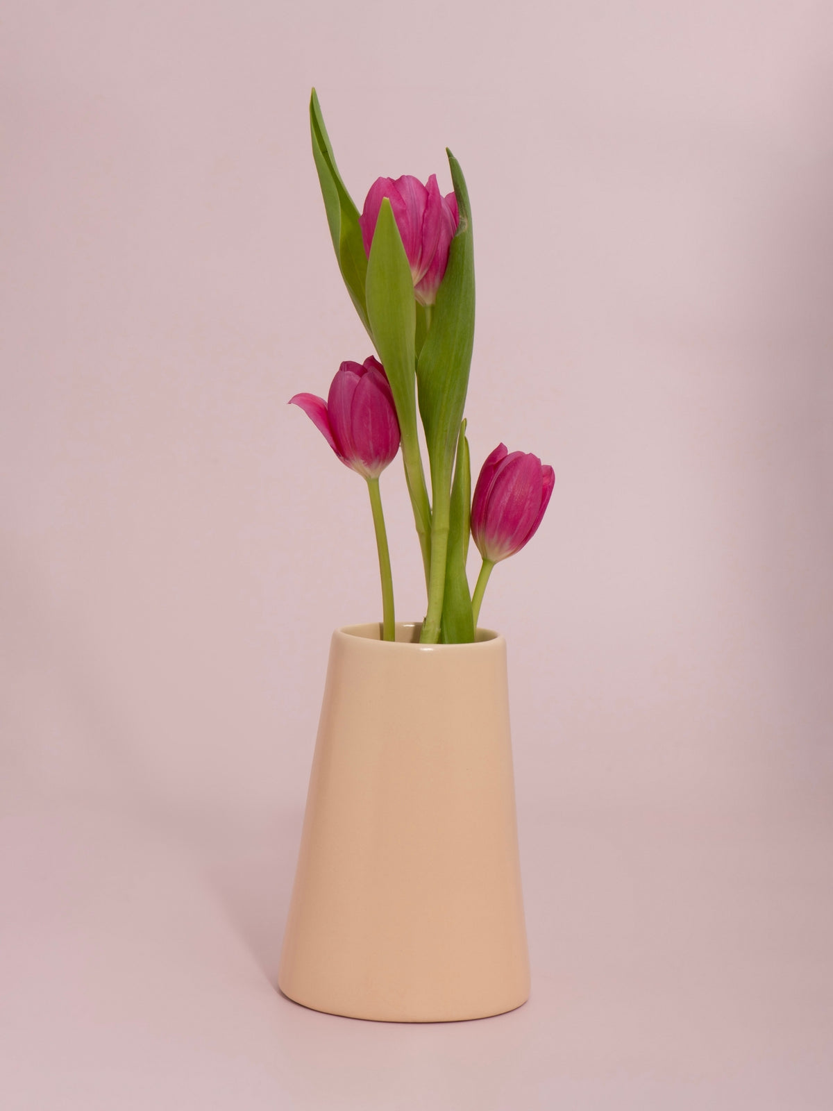 Macaron Bryony Ceramic Vase - Small