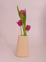 Macaron Bryony Ceramic Vase - Medium Pack of 1