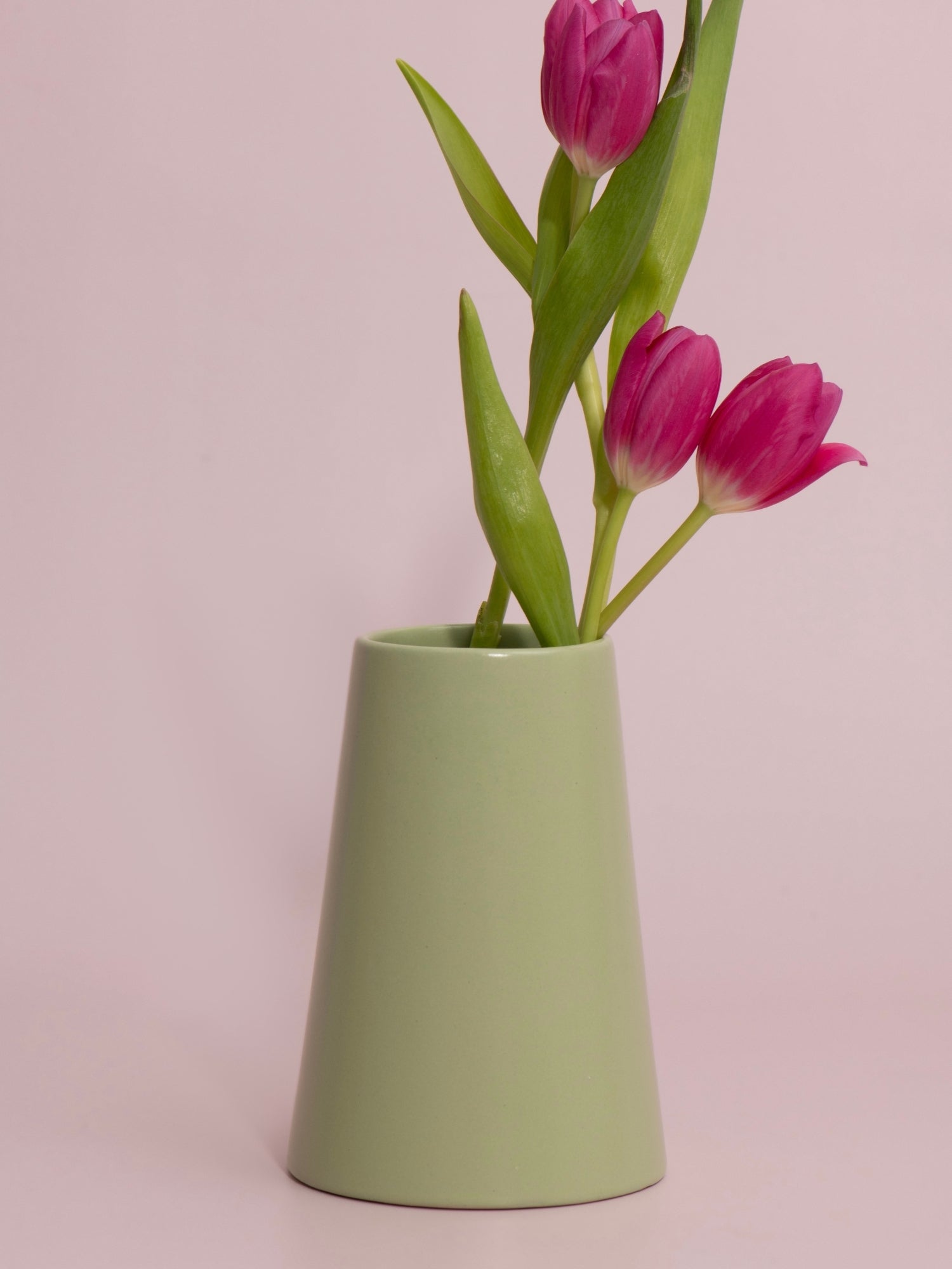 Pistachio Bryony Ceramic Vase - Medium Pack of 1