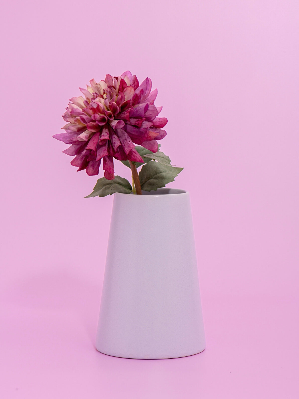 Wisteria Bryony Ceramic Vase - Medium Pack of 1