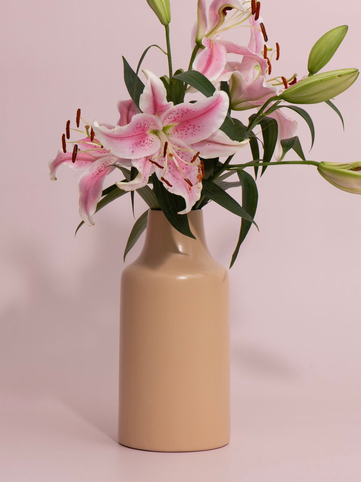 Biscotti Lillian Ceramic Carafe Vase