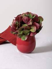 Sangria Poppy Bud Vase