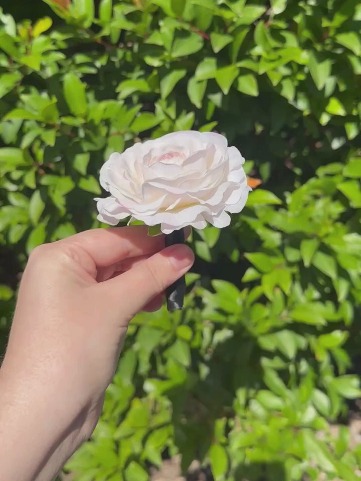 Blush Ranunculus Wedding Buttonhole